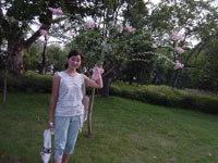 ���������ĵ�