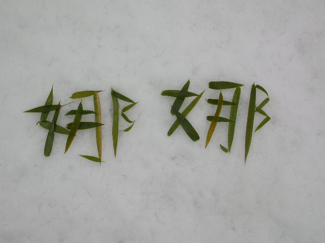 �ҵ�����