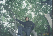 ��Ƥ����